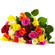 Mixed Color Roses